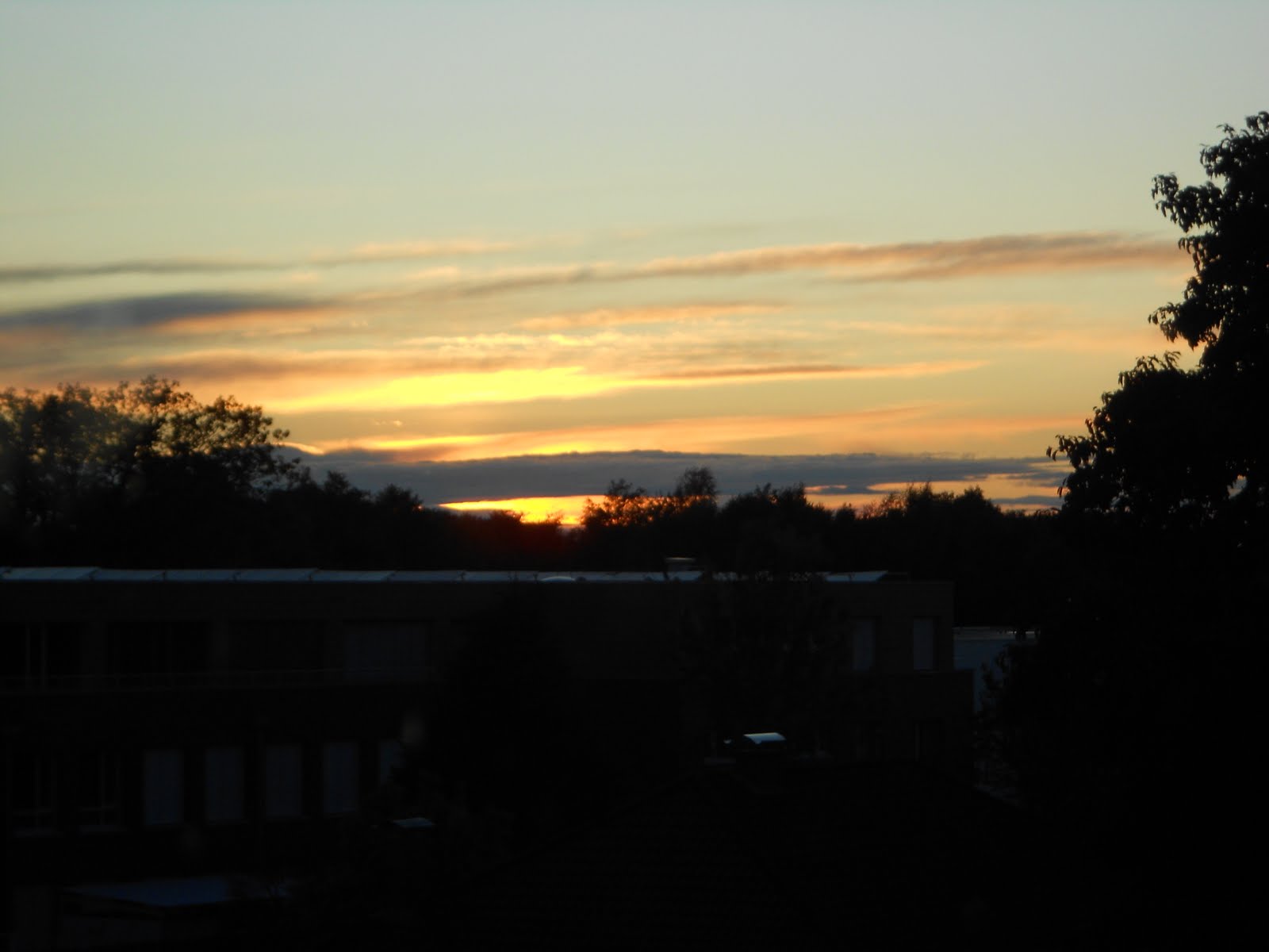 Sunset from my room