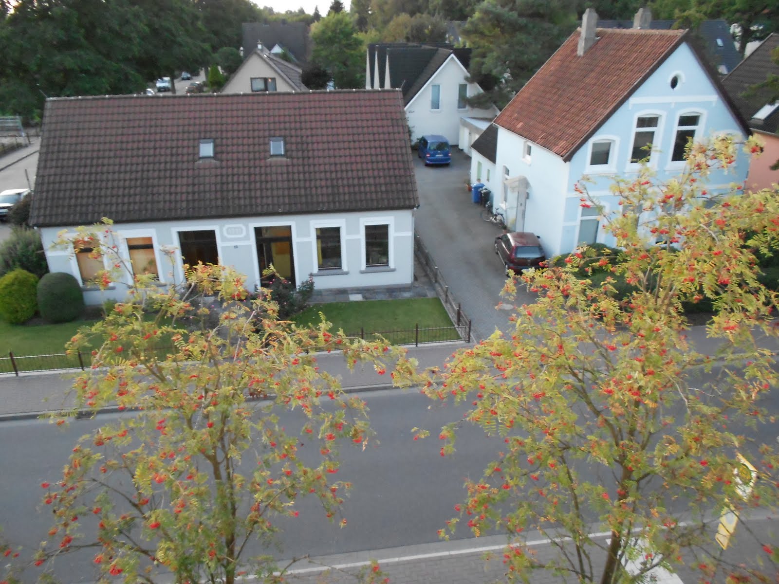 Houses you can see from my window