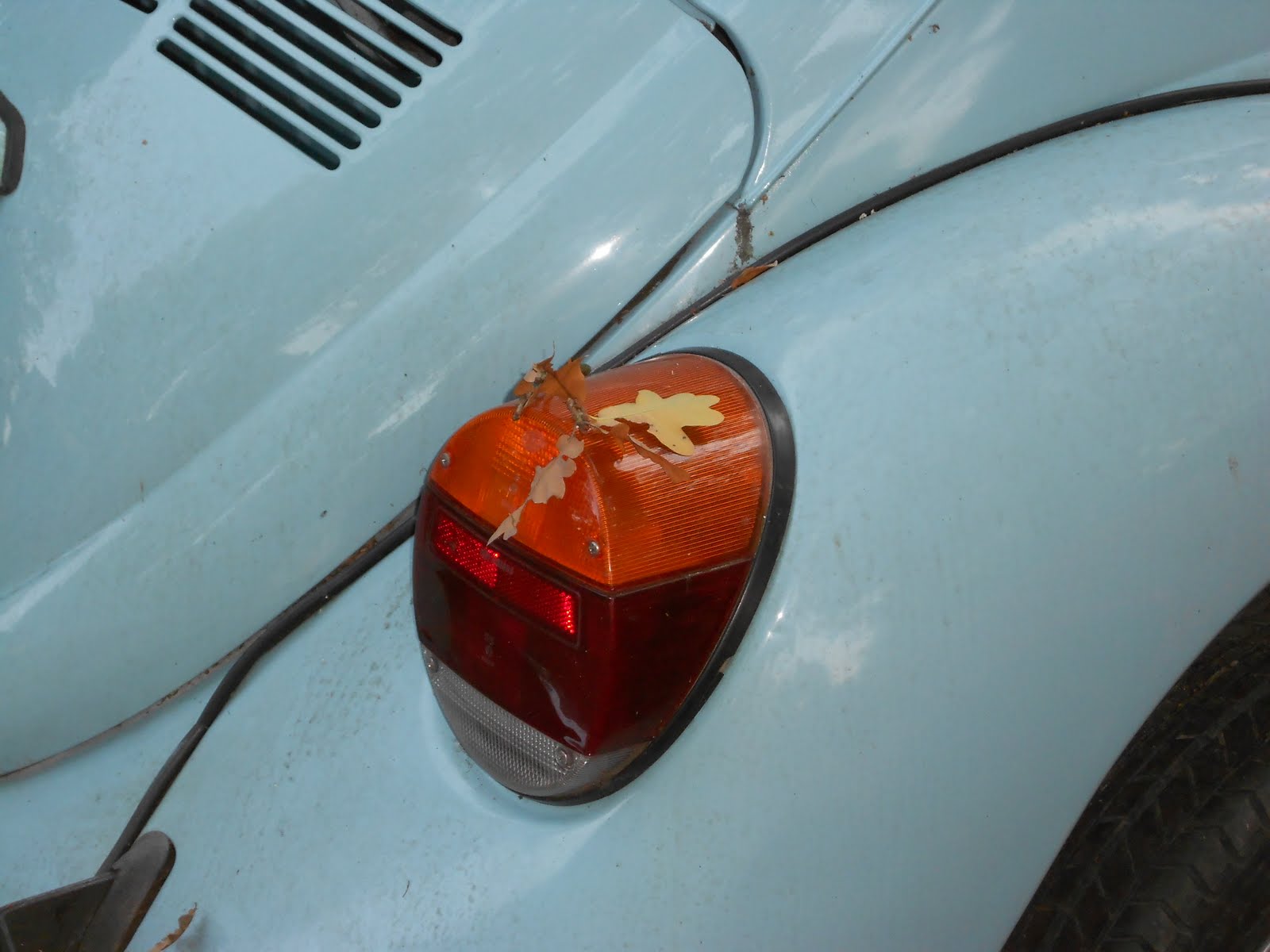 Leaf on a buggy